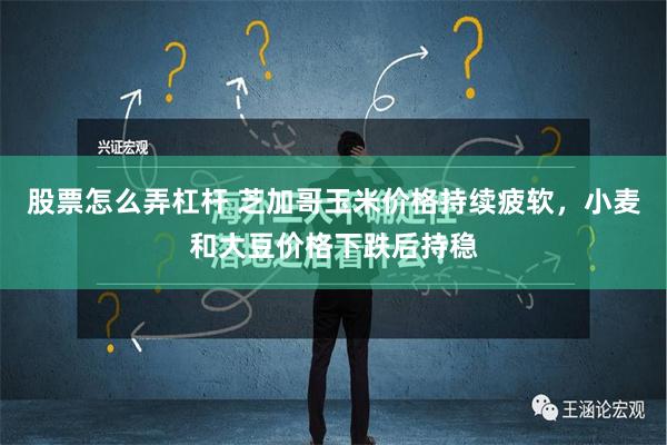 股票怎么弄杠杆 芝加哥玉米价格持续疲软，小麦和大豆价格下跌后持稳