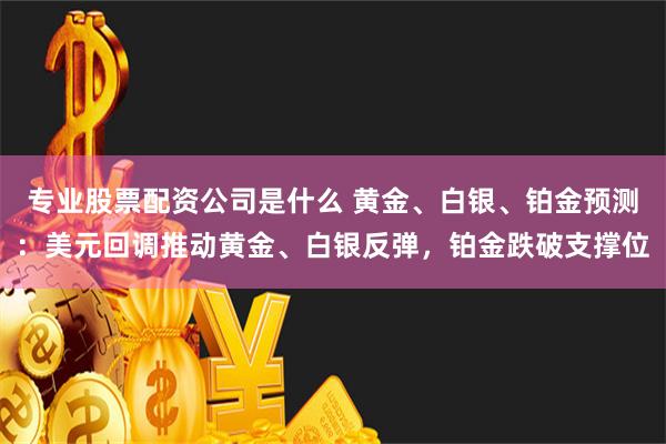 专业股票配资公司是什么 黄金、白银、铂金预测：美元回调推动黄金、白银反弹，铂金跌破支撑位