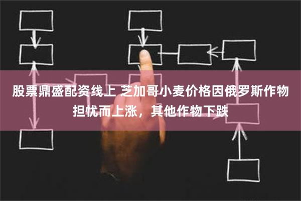 股票鼎盛配资线上 芝加哥小麦价格因俄罗斯作物担忧而上涨，其他作物下跌