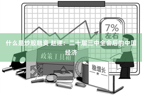 什么是炒股融资 赵建：二十届三中全会后的中国经济