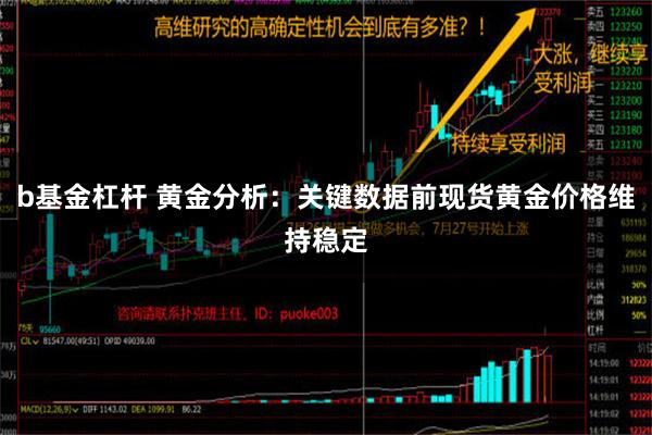 b基金杠杆 黄金分析：关键数据前现货黄金价格维持稳定