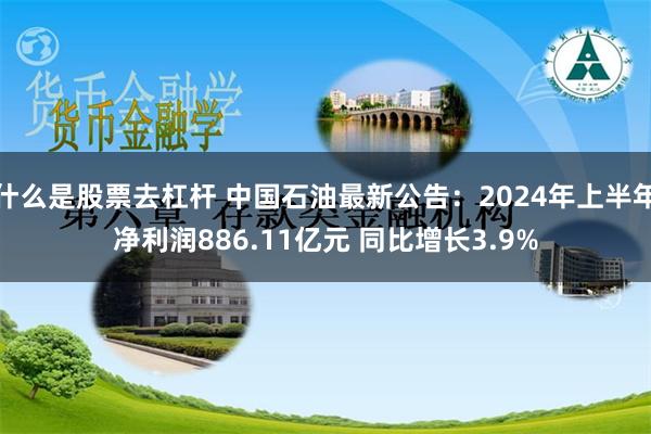 什么是股票去杠杆 中国石油最新公告：2024年上半年净利润886.11亿元 同比