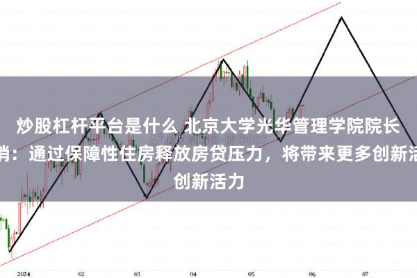 炒股杠杆平台是什么 北京大学光华管理学院院长刘俏：通过保障性住房释放房贷压力，将