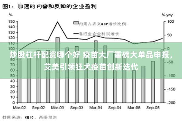 炒股杠杆配资哪个好 疫苗大厂重磅大单品申报，艾美引领狂犬疫苗创新迭代