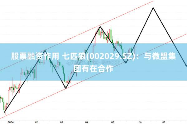 股票融资作用 七匹狼(002029.SZ)：与微盟集团有在合作