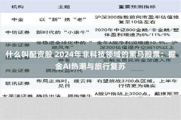 什么叫配资股 2024年非科技领域的黑马股票：掘金AI热潮与旅行复苏