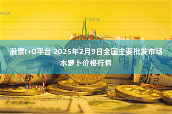 股票t+0平台 2025年2月9日全国主要批发市场水萝卜价格行情