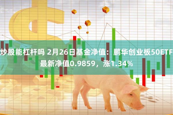 炒股能杠杆吗 2月26日基金净值：鹏华创业板50ETF最新净值0.9859，涨1